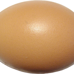 Farm Fresh Eggs